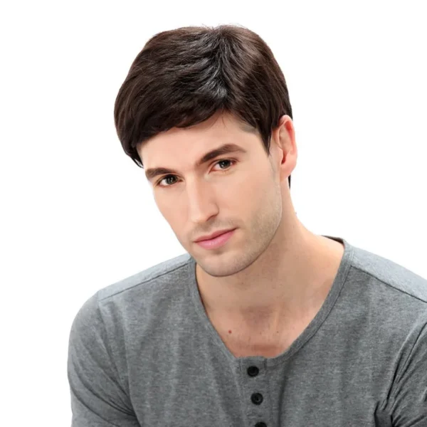 Handsome synthetic wigs for men: short, stylish, high-temp silk