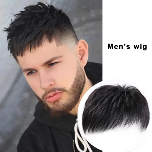 Gray Synthetic Wigs for Men, Natural Look, Short Style with Bangs